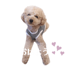 natsumi_20201004054106