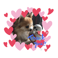 yamada_20201004151551