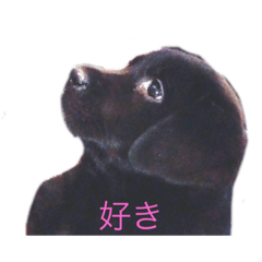 alice_20201003232637