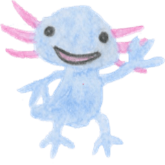 Axolotl painted by colored pencil