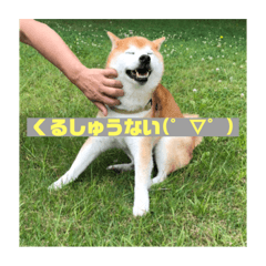 miki_20201004211516
