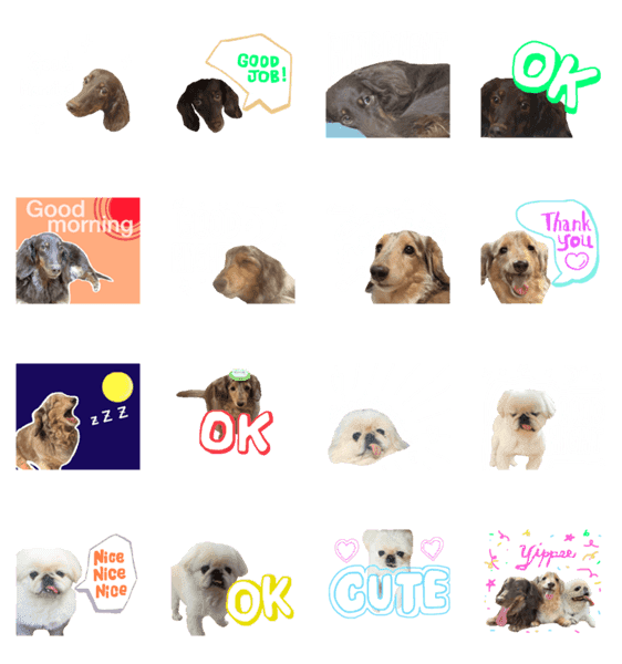 我が家のお犬様 Lineクリエイターズスタンプ Stamplist 我が家のお犬様 Lineクリエイターズスタンプ Stamplist