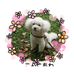 michiko_20201004182743