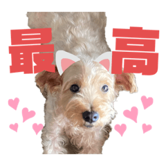 sumire_20201005101210