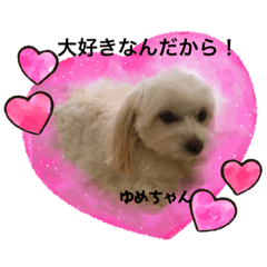 Sally_20201004213715