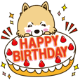 A sticker willingly.Pomeranian Birthday