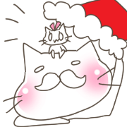 Twin cat Christmas