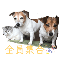Kaiware_20201005030437