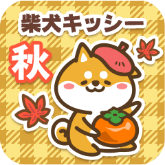 Shiba Kisshii in Autumn 2