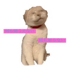 mizuki_20201005125951