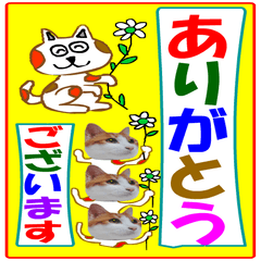 日本猫の銀とピーちゃん　デカスタンプ編
