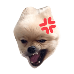 hikari_20201005121208