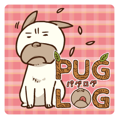 PUGLOG -Everyday of Pug-