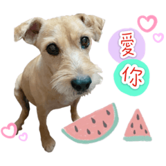 Muri&Ruffy