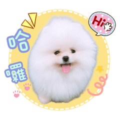 我是Q寶；Q寶是我