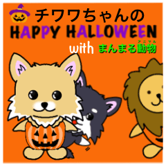 Halloween sticker for chihuahua.