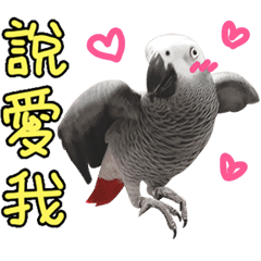 Stiker LINE MijanMaMa LINE STORE Stiker LINE MijanMaMa LINE STORE