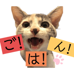 suzu_20201005211449