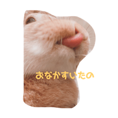 chie_20201005211039