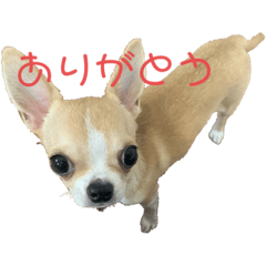 takashi_20201005222735