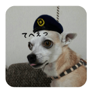 nari sticker