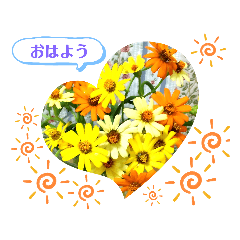genkina ohana sutanpu