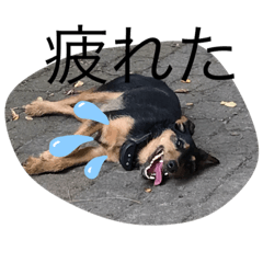 Asako_20201005101737