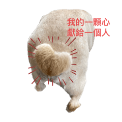 屁孩回憶錄