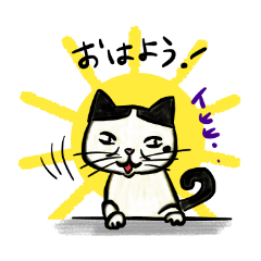 Quirky cats of sticker