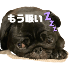 MIZUKI_20201005235220