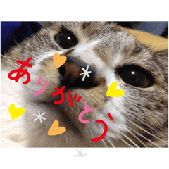 saori_20201006001750