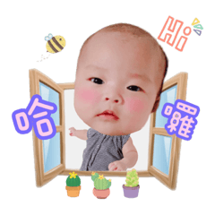 小緣榛（寶寶篇）