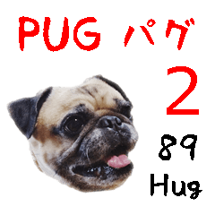 [Foto?] PUG anjing part.2 -SIMPLE-