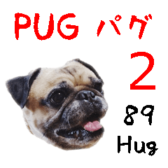 [Photo?] PUG dog part.2 -SIMPLE-