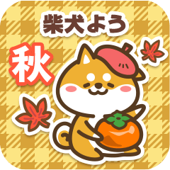 Shiba You in Autumn 2