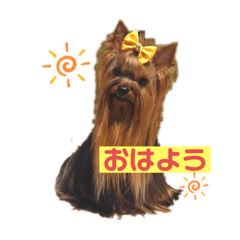 rio_20201006150105 – LINE stickers | LINE STORE