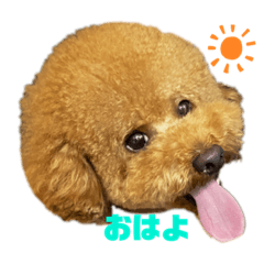 Ayumi_20201006194018