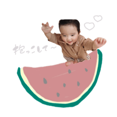かいりくん(animal＆fruits)