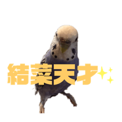 yuina_20201006210615