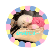 matsuryu_20201006212828