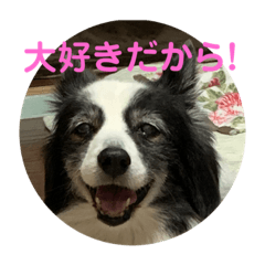 saya_20201006223927