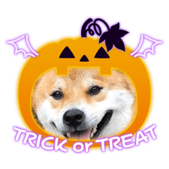 Tetsu_20201006233638