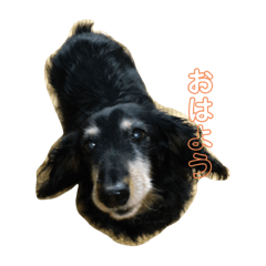 natsumi_20201006190657