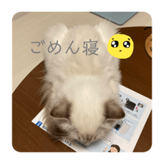 Kanae_20201006185818