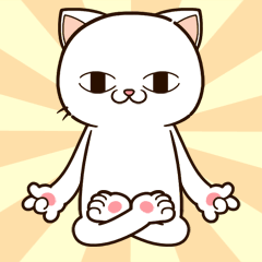 MOVE ! MOVE ! MIREDO Cat