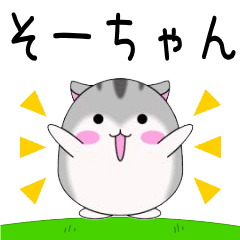 Move!Soochan designated name Sticker