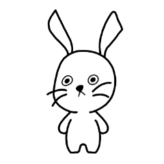 2D Bunny