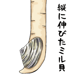 ミル貝は縦に伸びた事に気付いてほしい Line スタンプ Line Store ミル貝は縦に伸びた事に気付いてほしい Line スタンプ Line Store