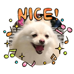 Linda_20201007104335