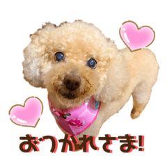 saori_20201007105443